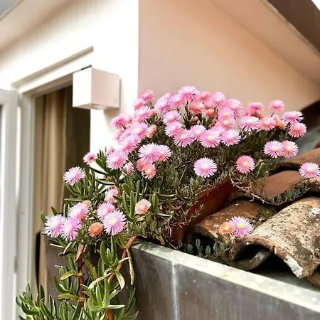 Attico Castiglione Appartement *