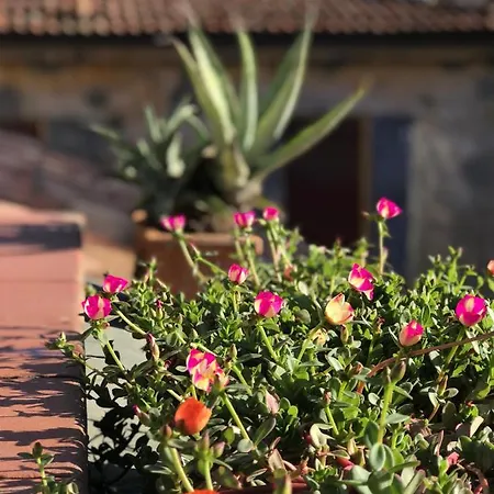 Apartament Attico Castiglione Bolonia